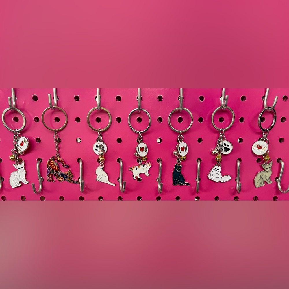 KEYCHAINS - Picture 6 of 7